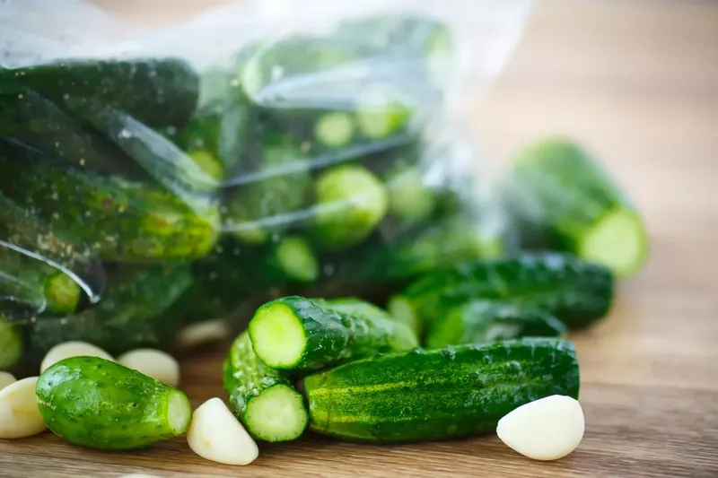Can Goats Eat Cucumbers?