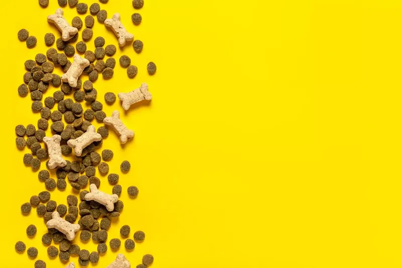 Can Goats Eat Dog Food?